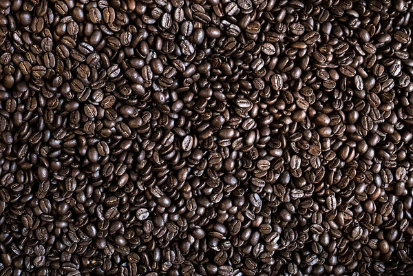 Coffee 101: A Beginner's Dive into the Brewed Universe