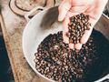 From Bean to Brew: Unraveling the Mystery of Coffee Plants, Species, and Varietales