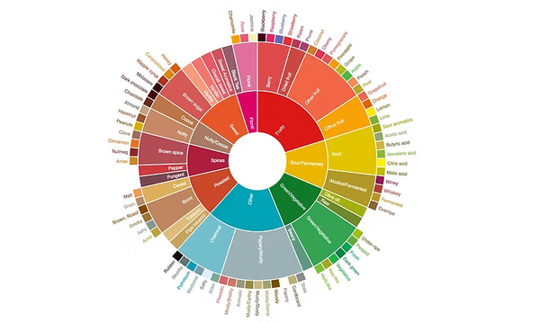 Sip, Savor, Repeat: An Introduction to Coffee Tasting
