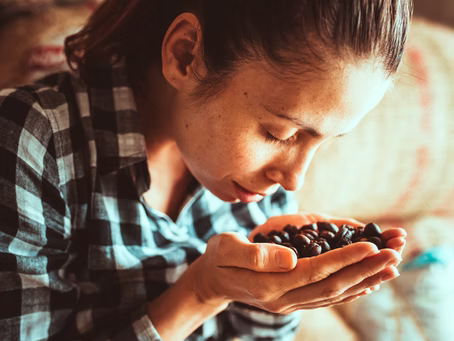 The World of Coffee: Embarking on a Global Coffee Journey